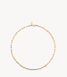Chain Necklace - Gold Plated