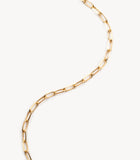 Chain Necklace - Gold Plated